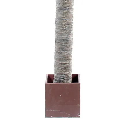 PALMIER artificiel MAJESTY 250 et 320 cm  - tronc