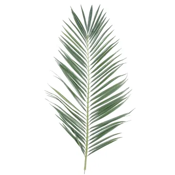 feuille PALMIER artificiel MAJESTY PALME 95 et 149 cm