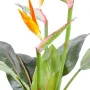 STRELITZIA  artificiel  - fleurs et feuille