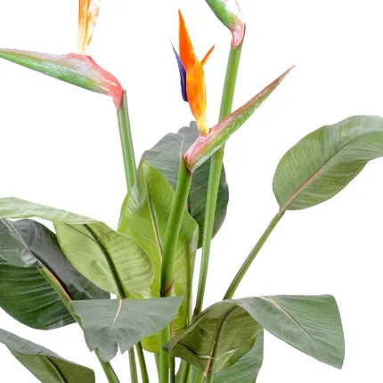 STRELITZIA  artificiel  - feuillage