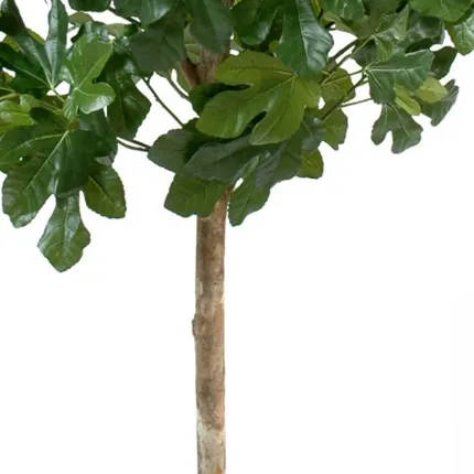 FIGUIER artificiel et FRUITS 170 cm - tronc