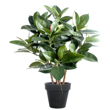 FICUS artificiel ELASTICA buisson ou caoutchouc 90 cm ANTI FEU