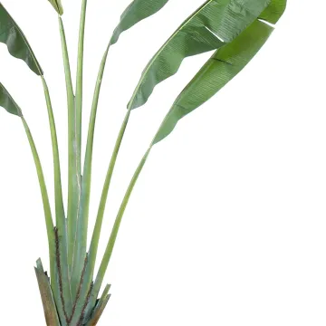 ARBRE DU VOYAGEUR artificiel 250  cm - feuilles