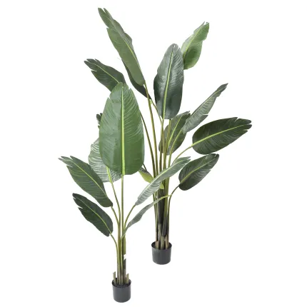 ARBRE DU VOYAGEUR artificiel  13 et 190 cm