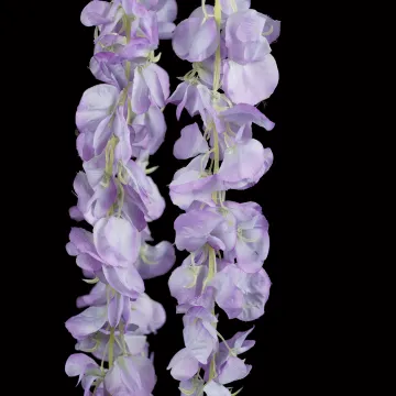 fleurs Tige GLYCINE 3 chutes 90 cm lavande