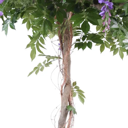 GLYCINE artificielle ROUND  235 cm - tronc