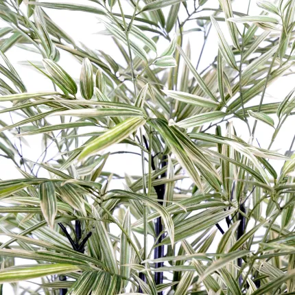 BAMBOU artificiel BLACK SHIROSHIMA LARGE 125 et 160 cm - cannes