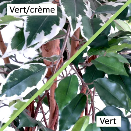 FICUS artificiel TRONC SIMPLE Grandes Feuilles  vert ou vert/crème 120 à 270 cm