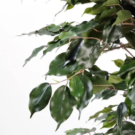 FICUS artificiel Exotica 180 et 210 cm vert - feuilles