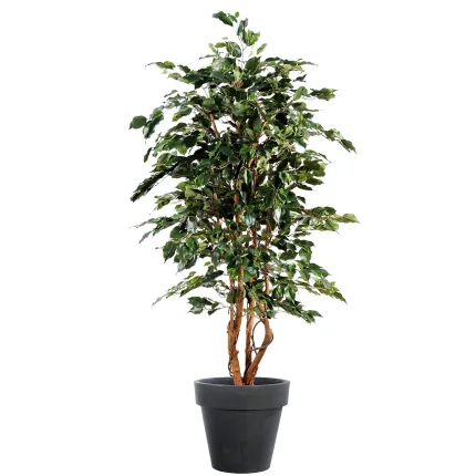 FICUS artificiel Exotica 180 et 210 cm vert