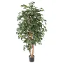 FICUS artificiel Exotica 180 et 210 cm vert