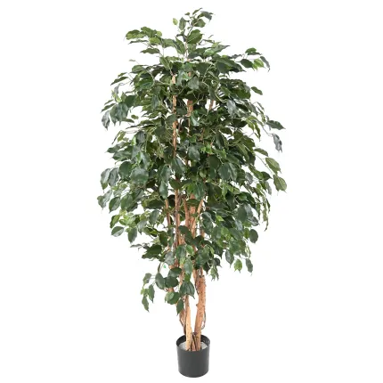 FICUS artificiel Exotica 180 et 210 cm vert