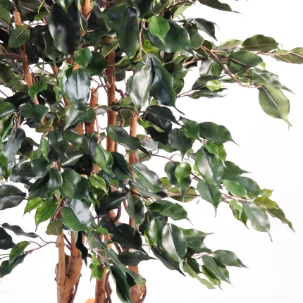 FICUS artificiel Exotica 180 et 210 cm vert - feuillage