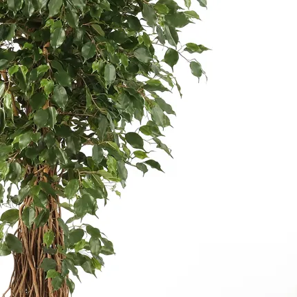 FICUS artificiel LIANE EXOTICA de luxe 120 à 300 cm - feuilles