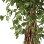 FICUS artificiel LIANE EXOTICA de luxe 120 à 300 cm - feuillage  et tronc