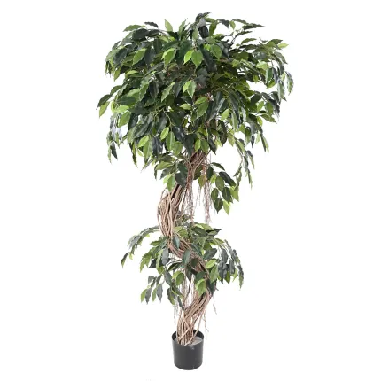 FICUS artificiel S  180 et 210cm