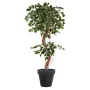 FICUS artificiel S  180 et 210 cm - en pot de dos