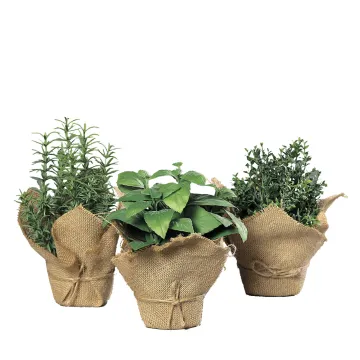 HERBES artificielles AROMATIQUES en pot 20 à 22 cm