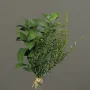 Plantes aromatiques artificielles BASILIC THYM ROMARIN artificiel 25 cm de face