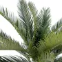 CYCAS artificiel TRONC 90 et 100 cm - feuillage