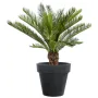 CYCAS artificiel TRONC 90 cm en pot