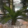 CYCAS artificiel TRONC 90 cm