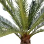 CYCAS artificiel GEANT 200 cm - jonction