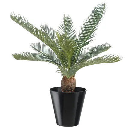 CYCAS artificiel BABY  65 cm