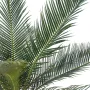 CYCAS artificiel BABY  65 cm - palmes