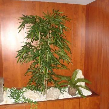 CYCAS artificiel BABY  65 cm dans un hall d'entrée à coté d'un bambou new 180 cm