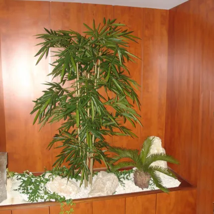 CYCAS artificiel BABY  65 cm dans un hall d'entrée à coté d'un bambou new 180 cm