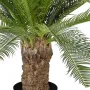 Tronc et feuilles de cycas artificiel traité anti feu
