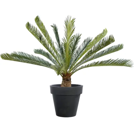 CYCAS artificiel GEANT 100 cm