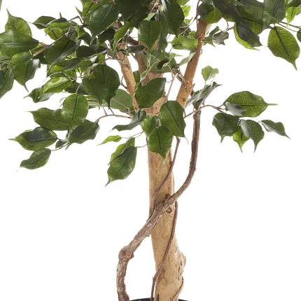 FICUS artificiel EXOTICA arbre de luxe 150 à 240 cm - tronc