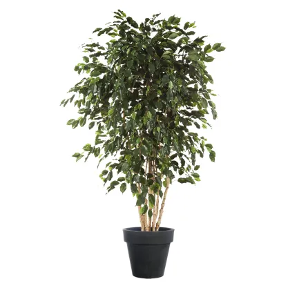 FICUS artificiel EXOTICA multi tronc 180 à 240 cm en pot