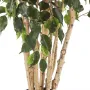 FICUS artificiel EXOTICA multi tronc 180 à 240 cm - tronc