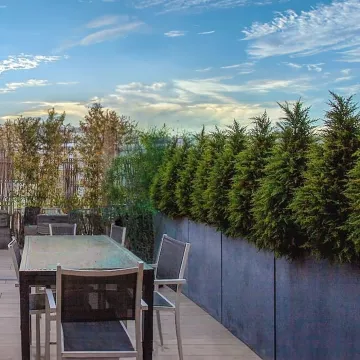 mise en situation CYPRES  artificiel ( junipérus) sur terrasse