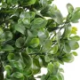 PEPEROMIA artificiel BUISSON PLAST 58 cm - feuilles