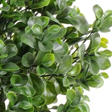 PEPEROMIA artificiel BUISSON PLAST 58 cm - feuilles