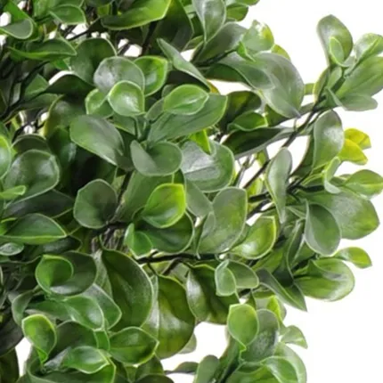PEPEROMIA artificiel BUISSON PLAST 58 cm - feuilles