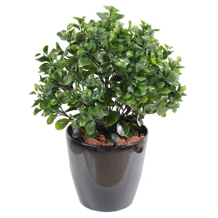 PEPEROMIA artificiel BUISSON PLAST 58 cm en pot