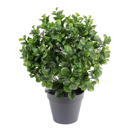 PEPEROMIA artificiel BUISSON PLAST 58 cm