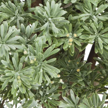 ARMOISE artificielle boule ( Crossostephium ) diam 60 cm - fleurs