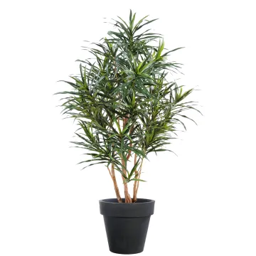 DRACENA artificiel ANITA 125 cm et 155 cm en pot