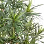 DRACENA artificiel ANITA 180 cm - feuillage