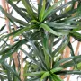 DRACENA artificiel ANITA 180 cm - feuilles