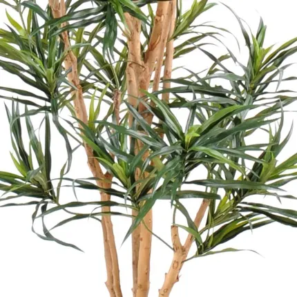 DRACENA artificiel ANITA 180 cm - tronc