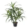 DRACENA artificiel (ou DRACAENA) ANITA 45 cm