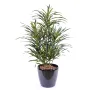 DRACENA artificiel (ou DRACAENA) ANITA 75 cm - en pot