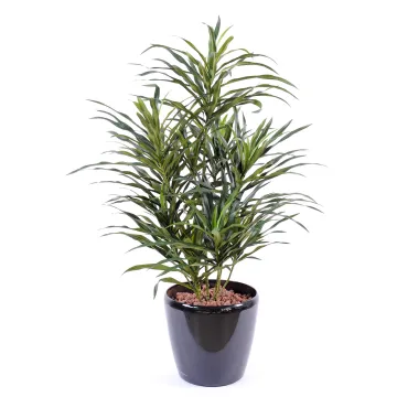 DRACENA artificiel (ou DRACAENA) ANITA 75 cm - en pot
